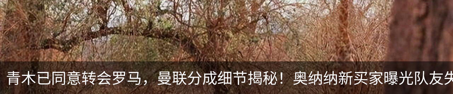 内页banner